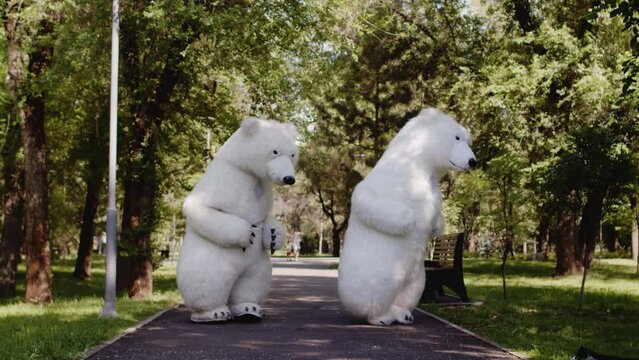 A couple of a giants polar bears puppets doll jumps and dances in a green park, in a background of green trees, in summer, outdoors. The concept of recreation, children's party