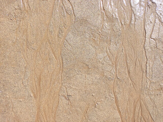 Beach wet sand texture. Sandy shore beige background.