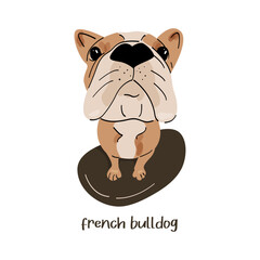 Cartoon French Bulldog on a white background. Vector illustration.
