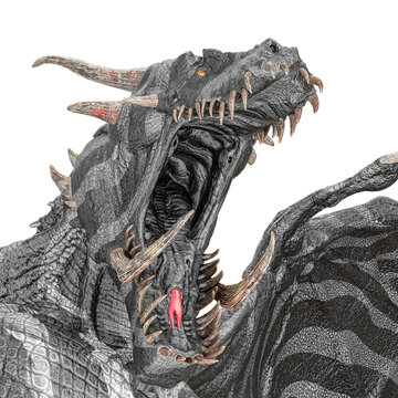 dragon in id profile picture portrait close up