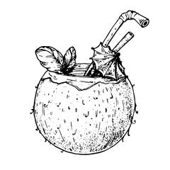 Coconut cocktail sketch, vector illustration. Beach cocktail. Alcoholic cocktail hand drawn illustration. Isolated object