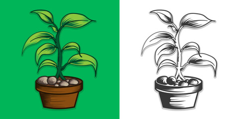 
plant for gardening vector design