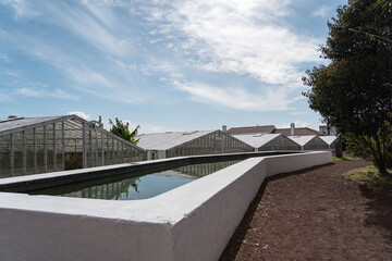 Fototapeta na wymiar pineapple farm with greenhouses and a water reservoir