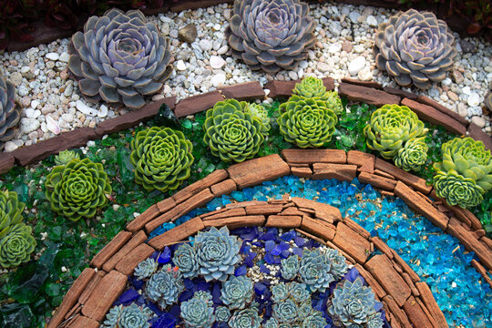 The Succulent Garden in the Sherman Library & Gardens in Corona Del Mar, California