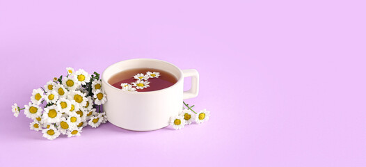 Obraz na płótnie Canvas Cup of natural chamomile tea on lilac background with space for text