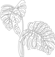 Monstera leaves line art. Abstract modern or minimal plants line. Perfect for home decor such as posters. Vector illustrations design.