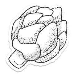 artichoke sticker vector drawing engraved style