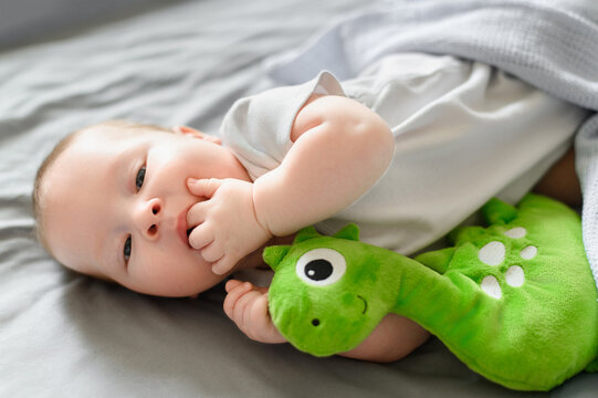A cute baby lies in the crib with his favorite toy. Childhood protection concept, children's day, sleep toy