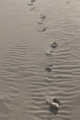 Fototapeta na wymiar Human footprint marks by beach sand in summer