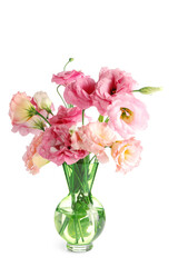 Glass vase with beautiful pink eustoma flowers on white background
