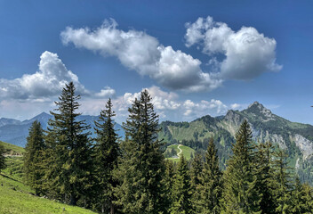 Blick vom Haberspitz zur Kampenwand mit Wolken am Sommerhimmel und Fichten im Vordergrund, Chiemgau, Alpen, Bayern, Deutschland