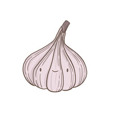 Hand drawn vegetable illustrations. Fresh delicious vegan diet vegetarian products, wholesome healthy food, cooking ingredients. Flat cartoon style