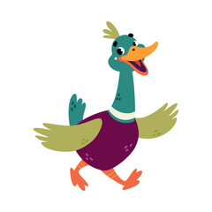 Funny Dabbling Duck Character Walking Vector Illustration