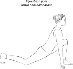Sketch of young woman practicing yoga, doing Equestrian pose. Ashva Sanchalanasana. Arm Leg Support and Balancing. Beginner. Isolated vector illustration.