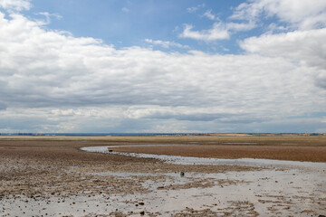 Chalkwell Beach, Essex, England, United Kingdom