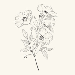 Line drawing flower vector illustration