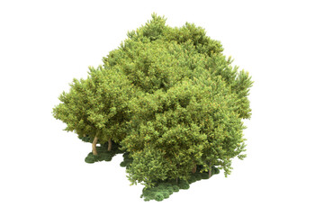 Fototapeta premium Landscape isolated on transparent background. 3d rendering - illustration