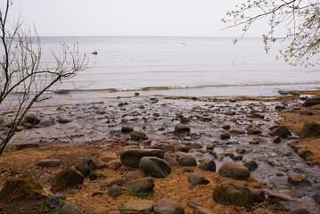 Stones in the lake, in cloudy weather. Nature. Beautiful view.