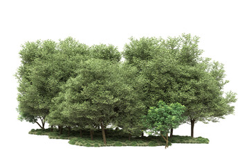 Landscape isolated on transparent background. 3d rendering - illustration