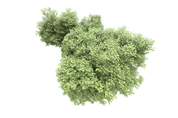 Obraz premium Landscape isolated on transparent background. 3d rendering - illustration