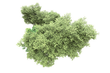 Obraz premium Landscape isolated on transparent background. 3d rendering - illustration
