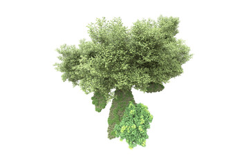 Obraz premium Landscape isolated on transparent background. 3d rendering - illustration