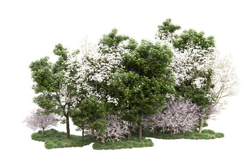 Fototapeta na wymiar Landscape isolated on transparent background. 3d rendering - illustration
