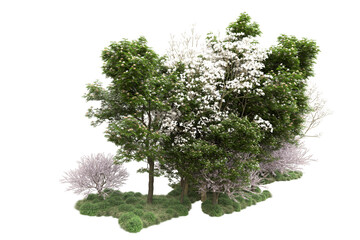 Obraz premium Landscape isolated on transparent background. 3d rendering - illustration