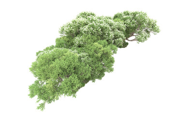 Obraz premium Landscape isolated on transparent background. 3d rendering - illustration
