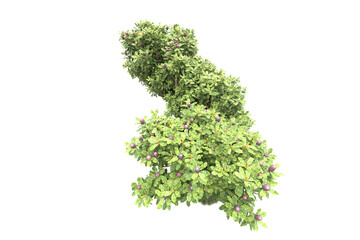 Fototapeta premium Landscape isolated on transparent background. 3d rendering - illustration