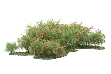 Landscape isolated on transparent background. 3d rendering - illustration