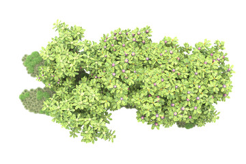 Fototapeta premium Landscape isolated on transparent background. 3d rendering - illustration