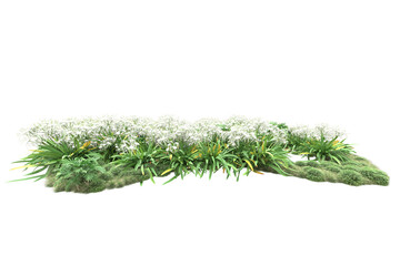 Landscape isolated on transparent background. 3d rendering - illustration