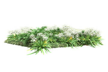 Fototapeta premium Landscape isolated on transparent background. 3d rendering - illustration