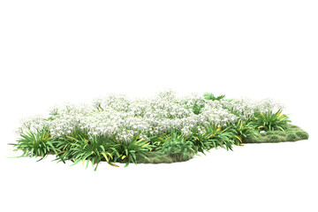 Landscape isolated on transparent background. 3d rendering - illustration