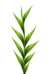 green leaf isolated on white, generative ai	