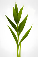 Fototapeta na wymiar green leaf isolated on white, generative ai 