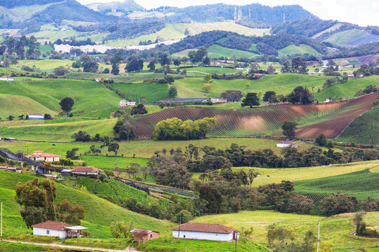Green hills in Colombia