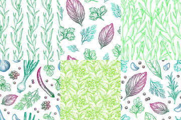 Collection of seamless patterns with herbs.