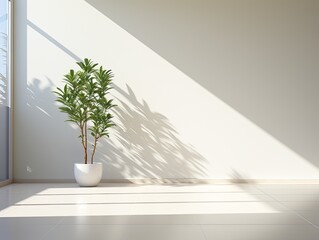 Minimalistic empty brightly lit room with all white walls and green plant in a pot, mockup, blank empty copy space. Generative AI