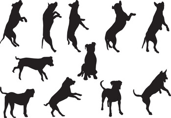 Silhouette of a playing dog.