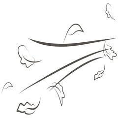 Outline drawing of a breath of wind.Wind blow  set in line style.Wave flowing illustration with hand drawn doodle cartoon style.