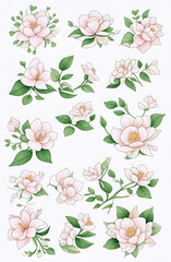 pinkish white flower buds with petals on white background. Illustration generated ai