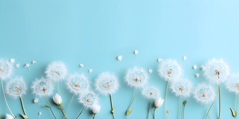 A dandelions on the down. Design element for flyer, web, wedding and other invitations or greeting cards. copy space