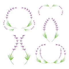 Lavender wreath set, nature decorative elements, invitation or greeting card decoration, circular laurel foliate wreaths, color isolated on white background, vector illustration.