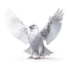 Gyrfalcon bird isolated on white. Generative AI