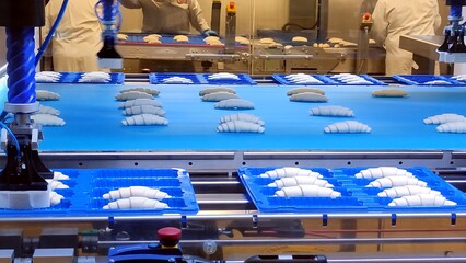 Automated croissant production process in a factory. Moving conveyor belt and automated croissant...