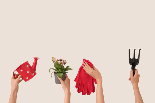 Women with plant and different gardening tools on light background