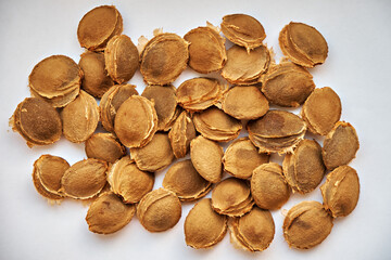 Apricot pits on a white background. View from above. Vitamin B 17. Healthy food background.