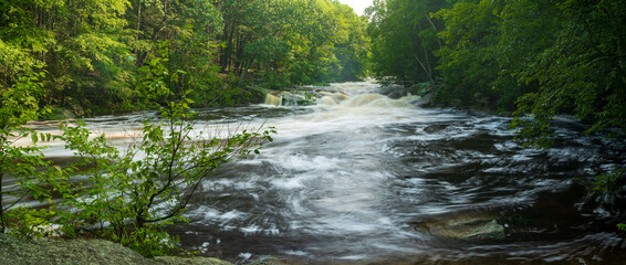 Rushing River in the Woods